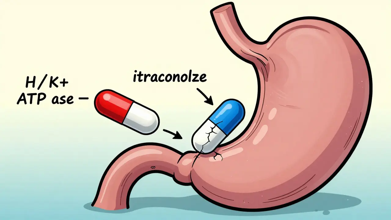 Proton Pump Inhibitors and Antifungals: How They Interfere with Absorption